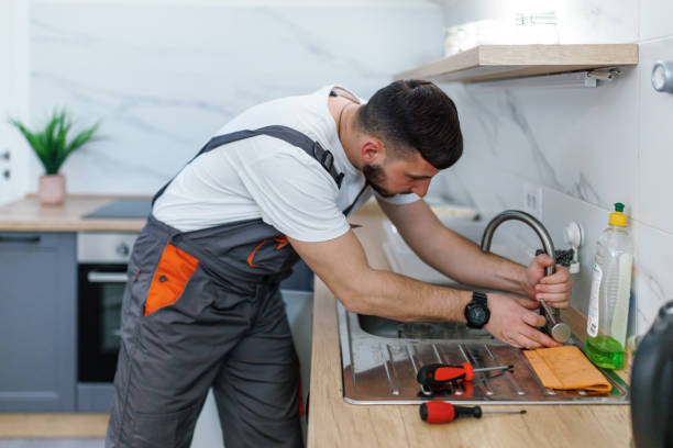 Best Local Plumber Services  in Smyrna, DE
