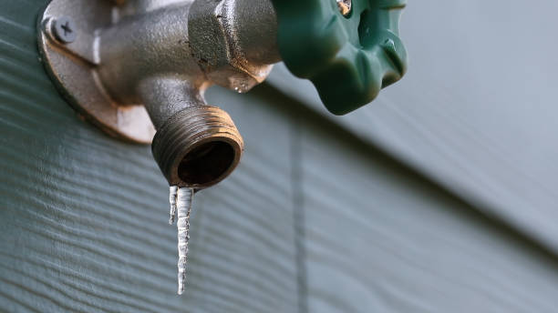 Best Leak Detection Services  in Smyrna, DE